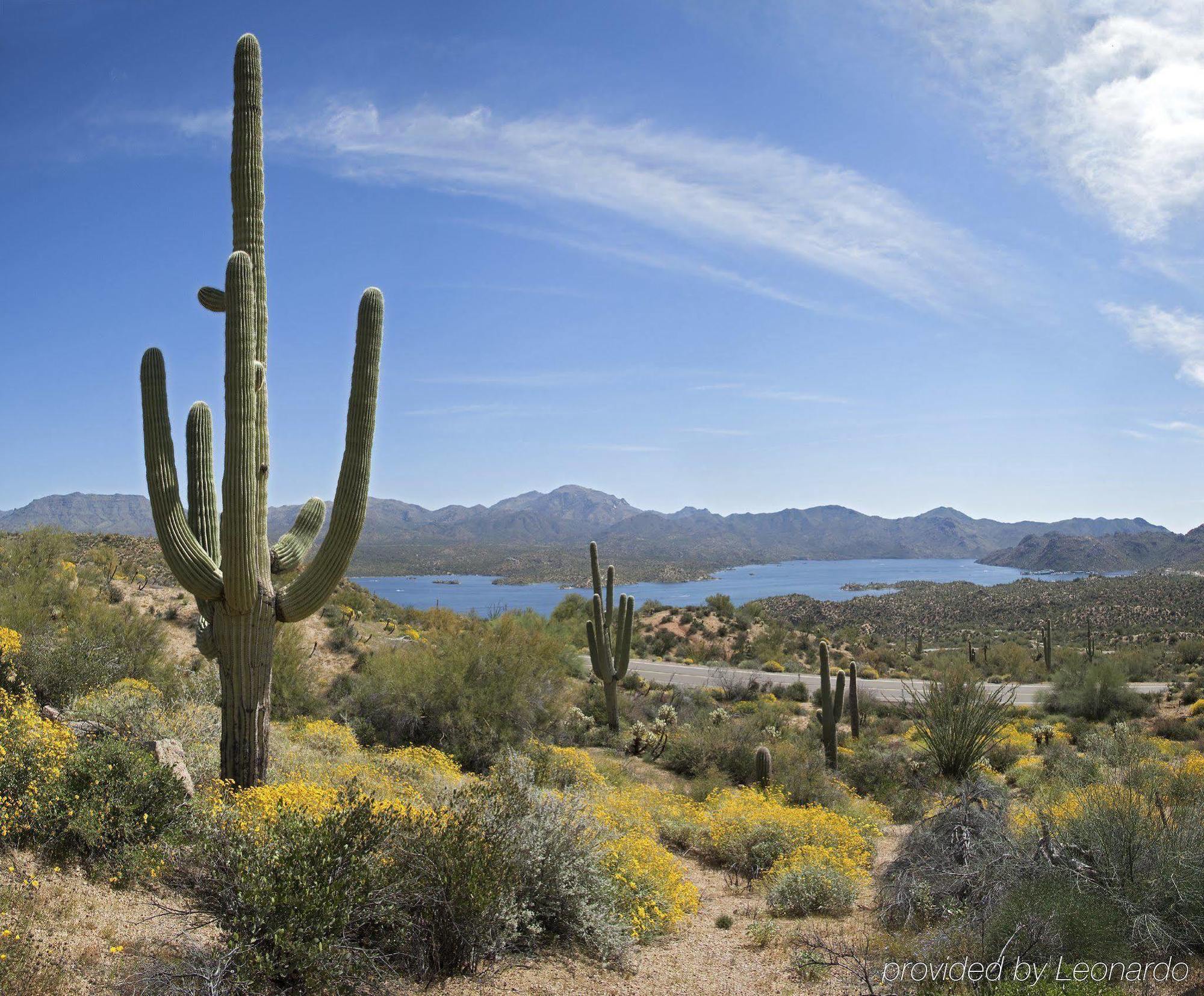 Hilton Garden Inn Scottsdale Old Town Екстер'єр фото